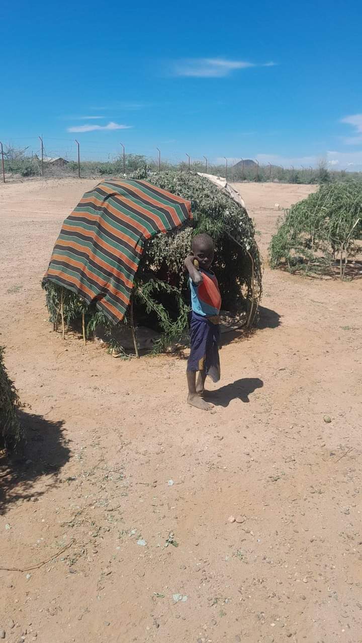 Afbeelding van WhatsApp op 2024-05-11 om 15.16.07_9dcefda6